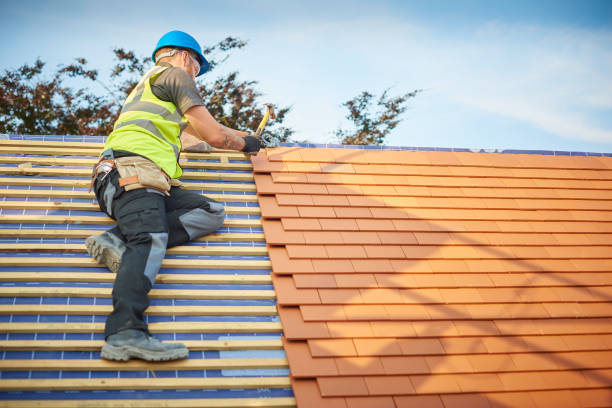 Best Roof Maintenance and Cleaning  in Hortonville, WI